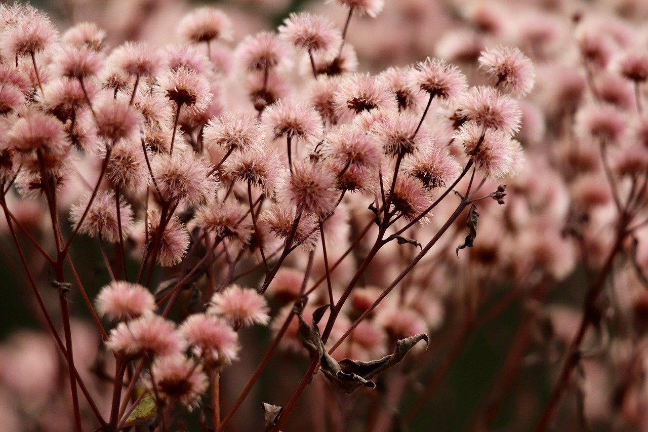 网站压力测试|黑客入侵公司网络的例子