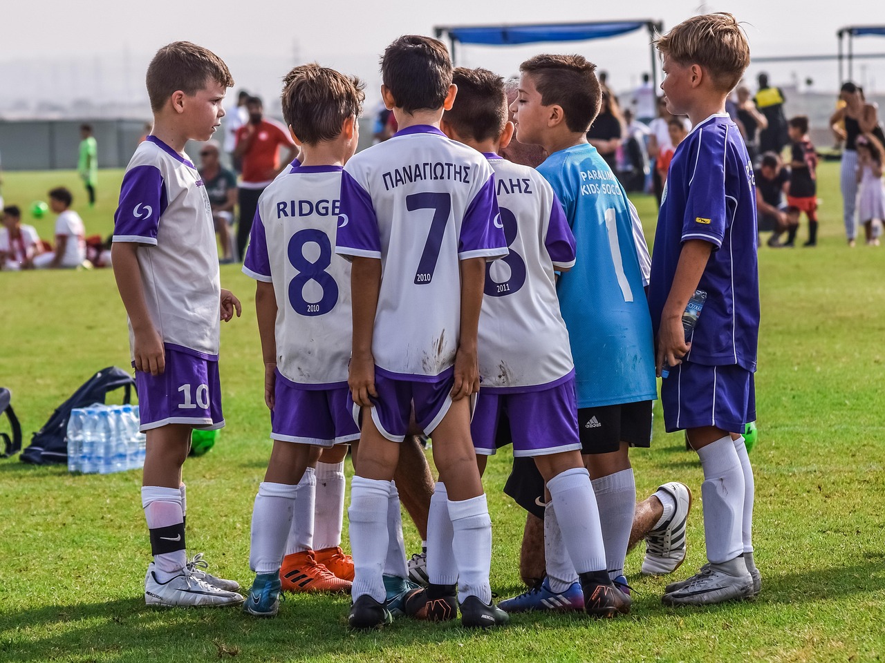 微信出售官网：筑巢平台代理