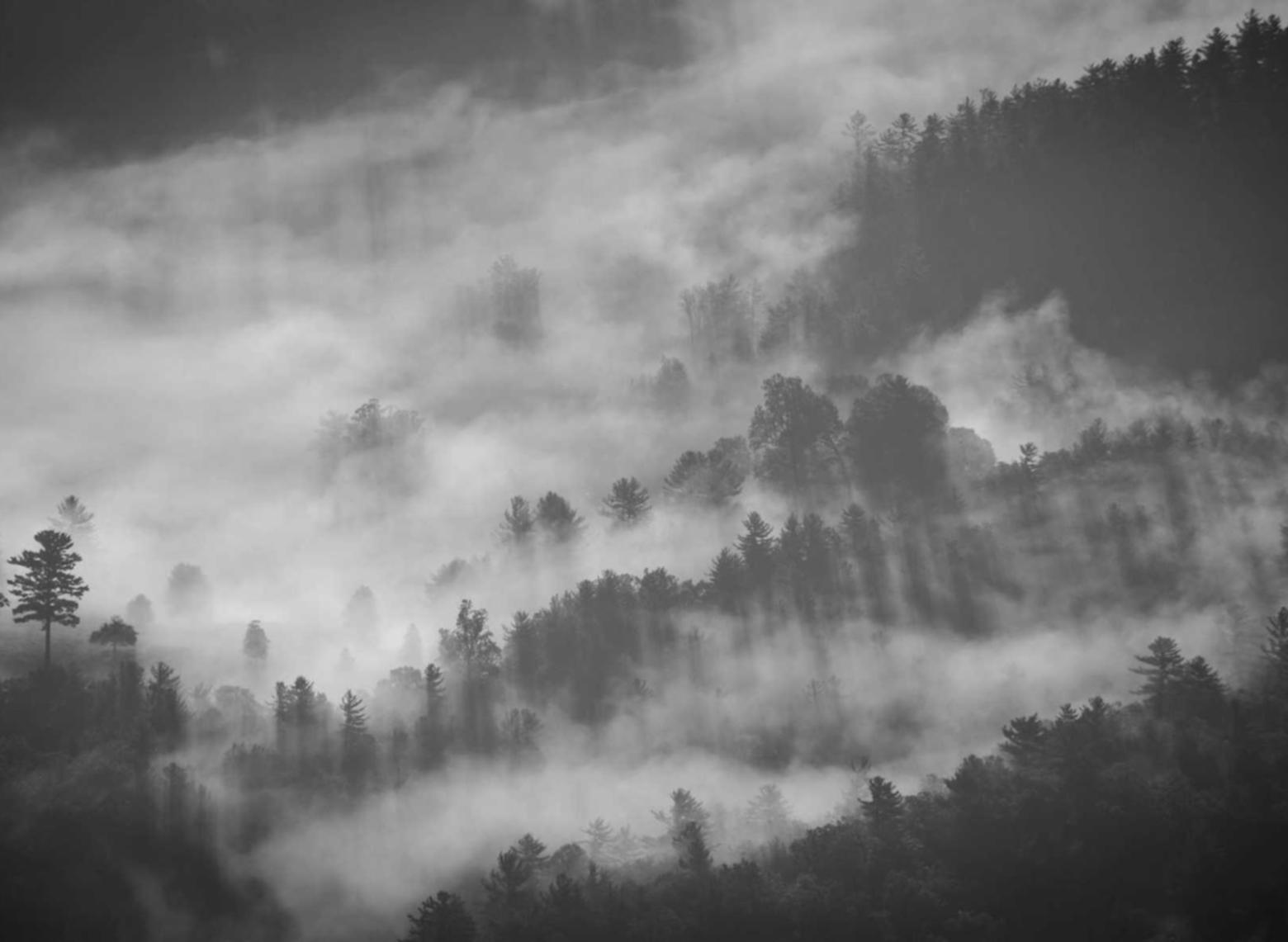 一人之下：详情下载教程红盒app